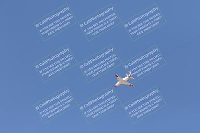 media/Oct-25-2025-Race Pace (Sat) [[47cce5476f]]/Fastest Verified/